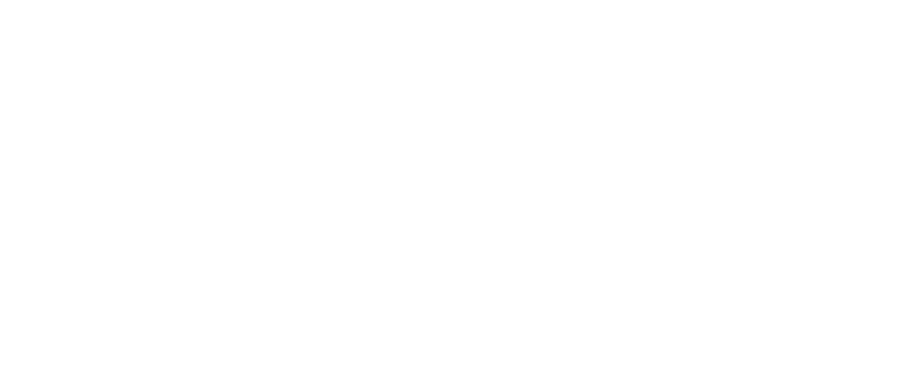 WeLiveInCroatia Logo